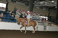 r14-04_0595 proof