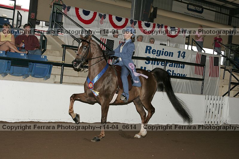 Proof r14-04_0614
