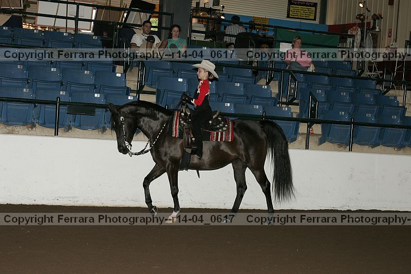 Proof r14-04_0617