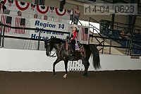 r14-04_0623 proof