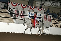 r14-04_0528 proof