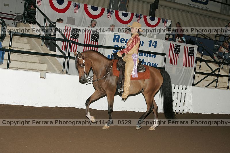 Proof r14-04_0529