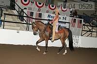 r14-04_0529 proof