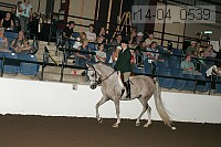 r14-04_0539 proof