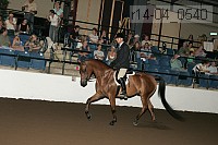 r14-04_0540 proof