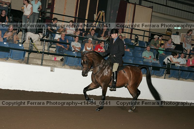 Proof r14-04_0541