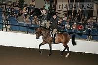 r14-04_0542 proof