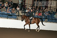 r14-04_0543 proof