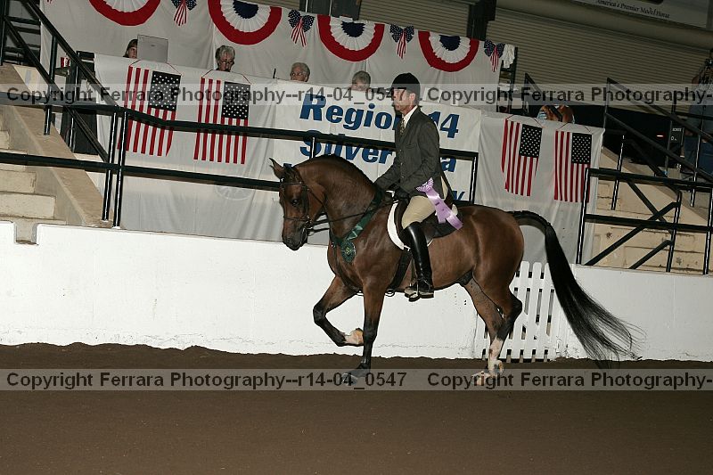 Proof r14-04_0547