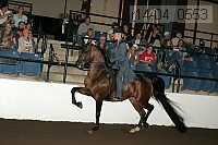 r14-04_0553 proof