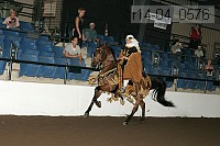 r14-04_0576 proof
