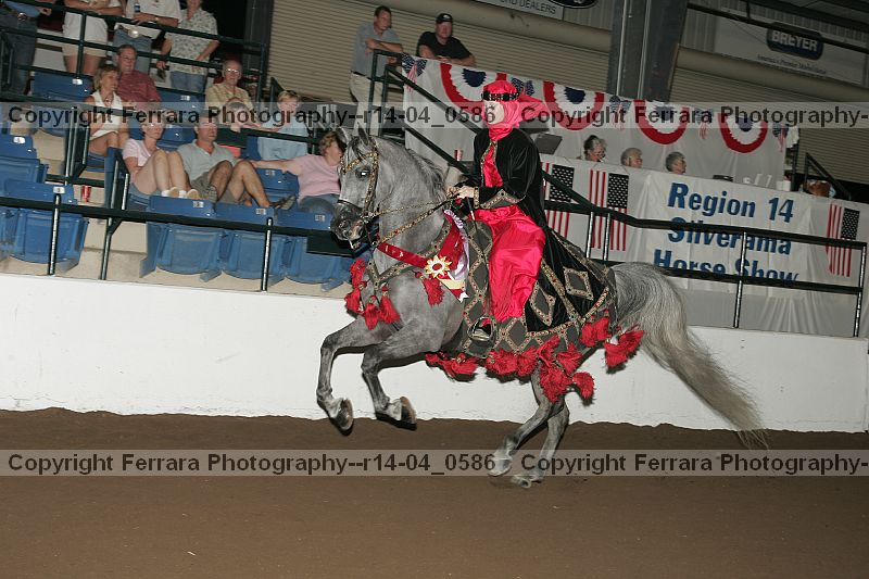Proof r14-04_0586