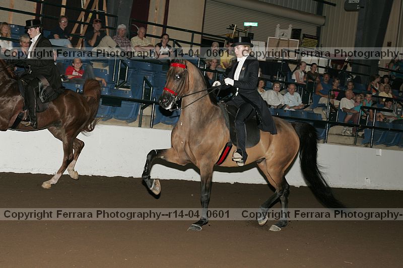 Proof r14-04_0601