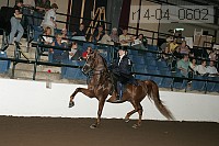 r14-04_0602 proof