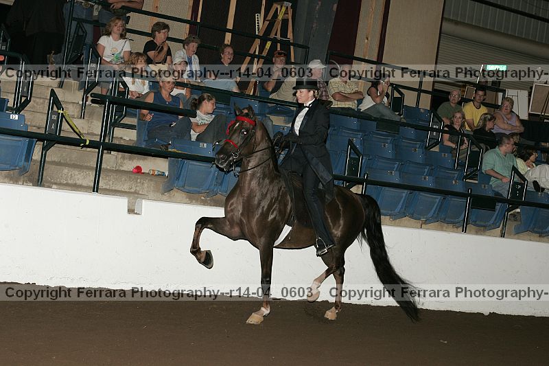 Proof r14-04_0603