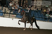 r14-04_0603 proof