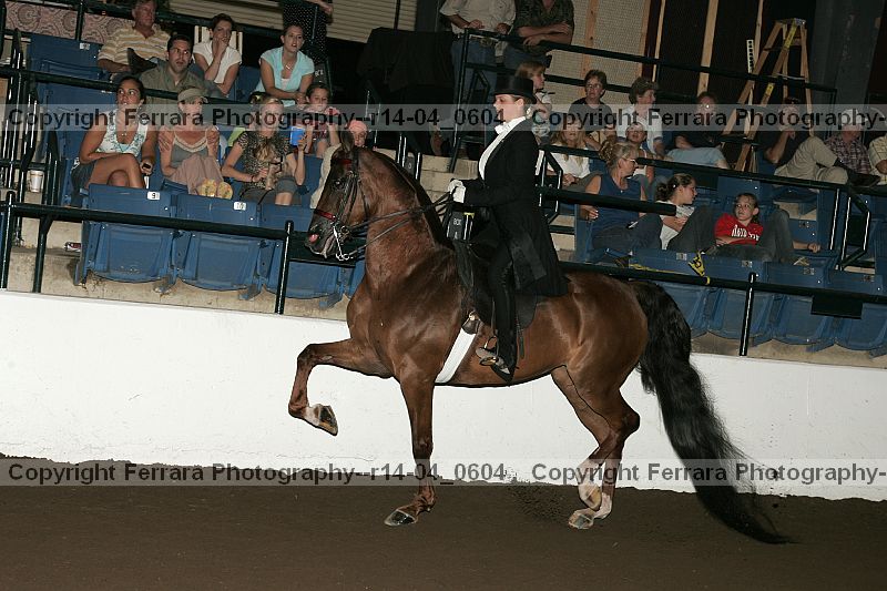 Proof r14-04_0604