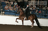 r14-04_0604 proof