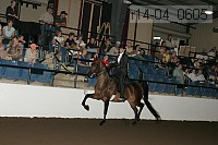 r14-04_0605 proof