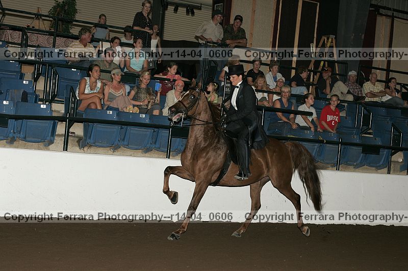 Proof r14-04_0606