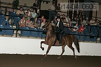 r14-04_0606 proof