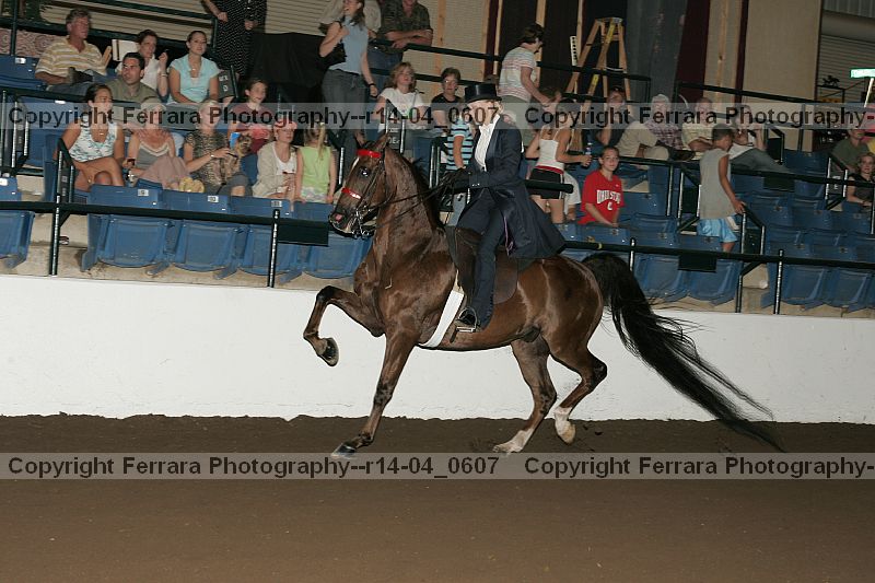 Proof r14-04_0607