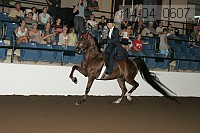 r14-04_0607 proof