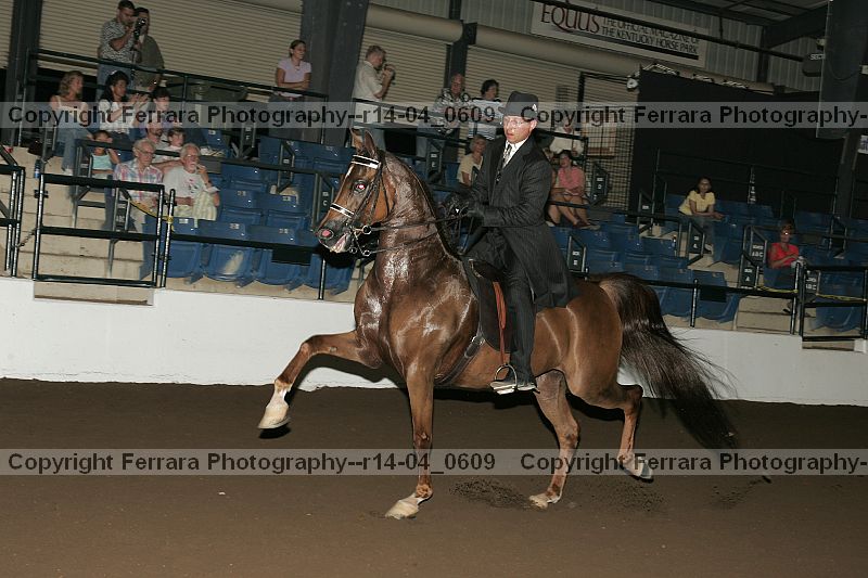 Proof r14-04_0609