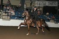 r14-04_0609 proof