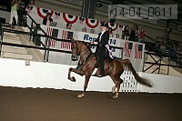 r14-04_0611 proof