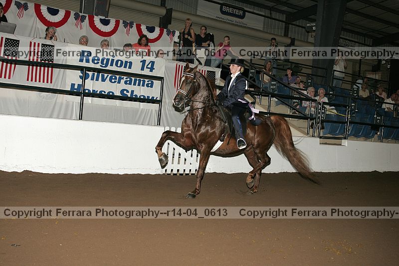 Proof r14-04_0613