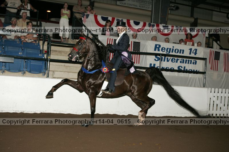Proof r14-04_0615