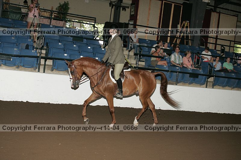 Proof r14-04_0666