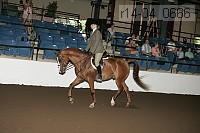 r14-04_0666 proof