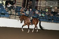 r14-04_0667 proof