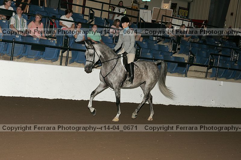 Proof r14-04_0671