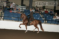 r14-04_0683 proof