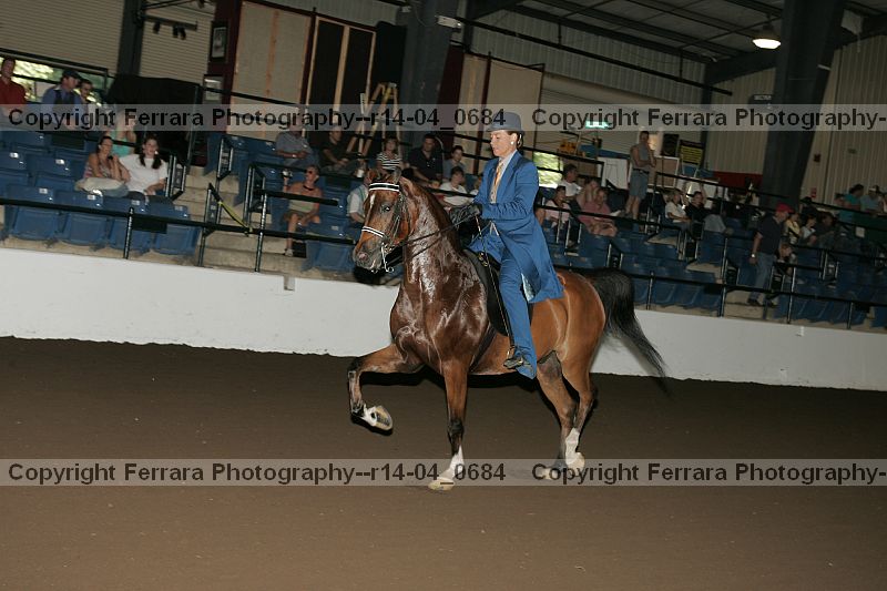 Proof r14-04_0684