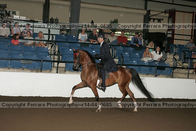 Proof r14-04_0685