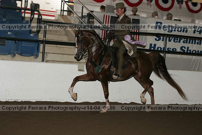 Proof r14-04_0686