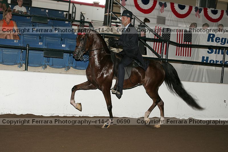 Proof r14-04_0690