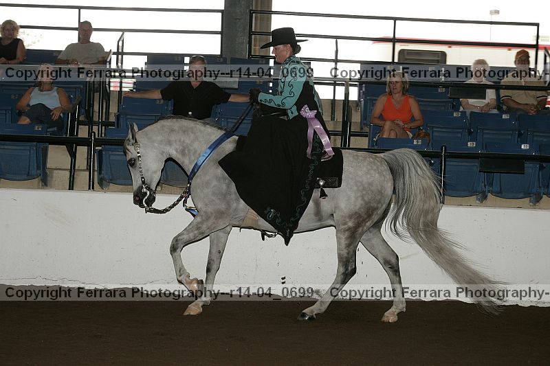 Proof r14-04_0699
