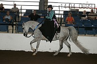 r14-04_0699 proof