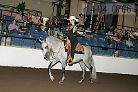 r14-04_0706 proof