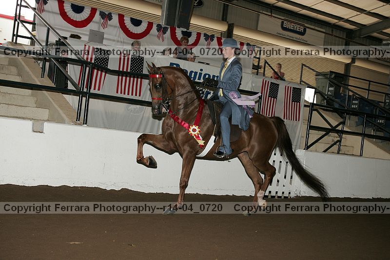 Proof r14-04_0720