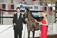 r14-04_0723 proof