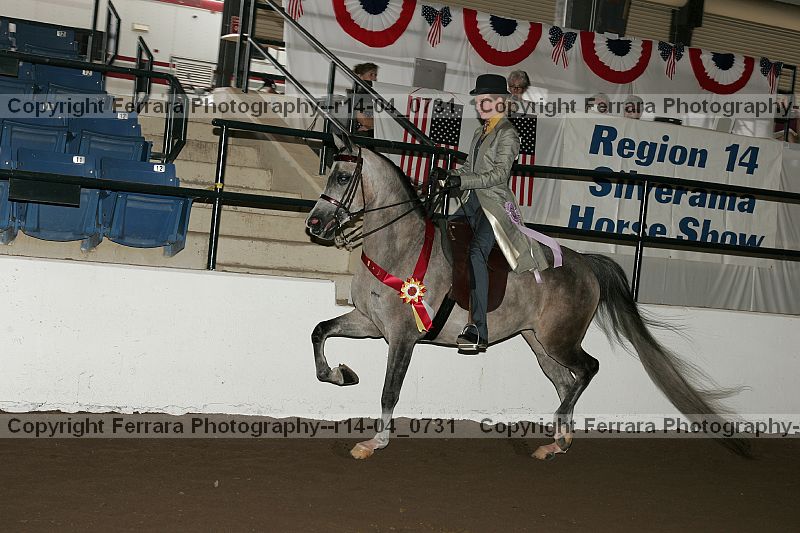 Proof r14-04_0731