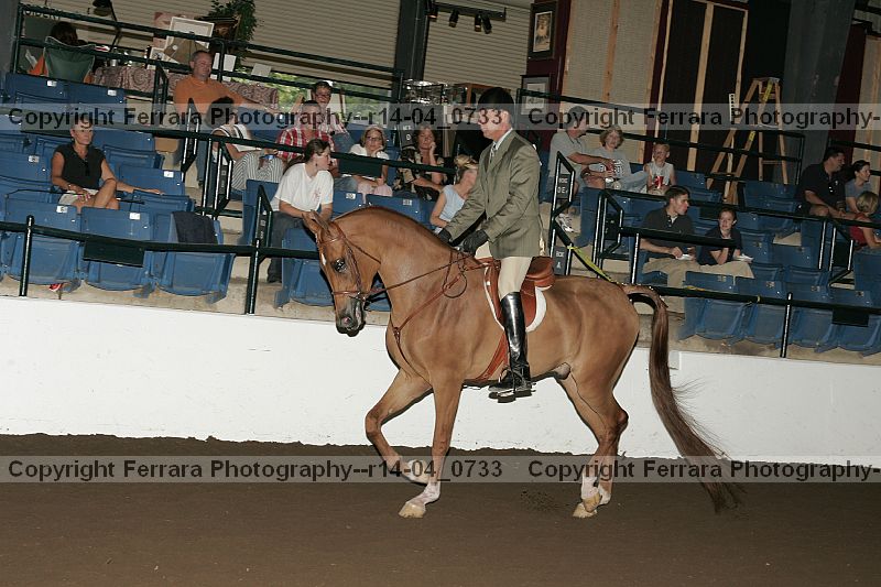 Proof r14-04_0733