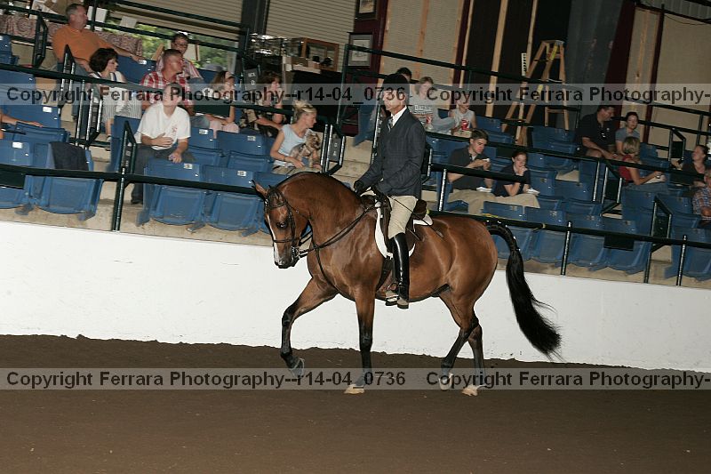 Proof r14-04_0736