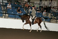 r14-04_0737 proof